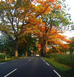 Road amidst trees during autumn