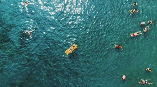 High angle view of people swimming in sea