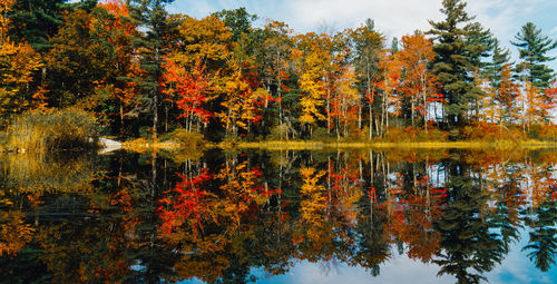 Reflection of trees in lake during autumn