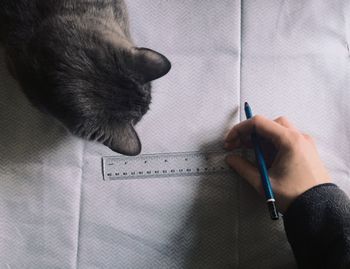 Cropped image of tailor marking on fabric with cat on table