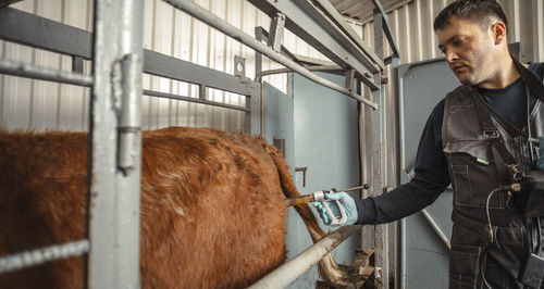 Side view of man standing in stable