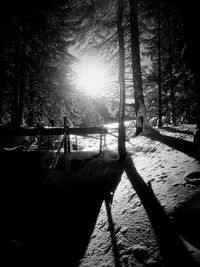 Silhouette trees against sky