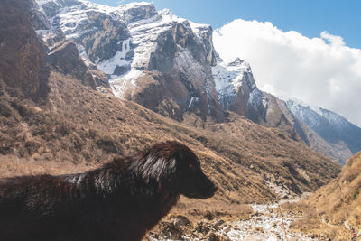 Scenic view of mountain range against sky