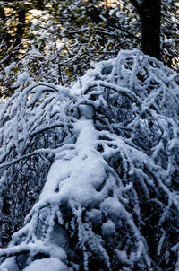 High angle view of snow covered land