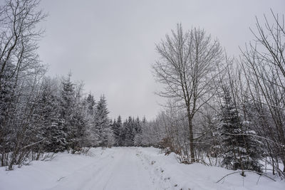 Bare trees on snow covered field against sky