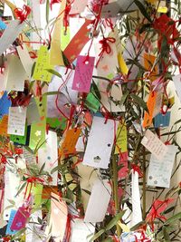 Full frame shot of decoration hanging on branch