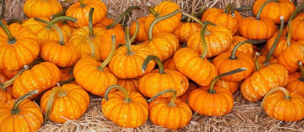 Full frame shot of pumpkins