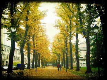 People walking on footpath