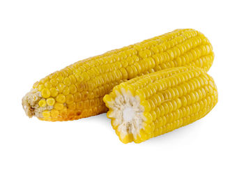 Close-up of yellow leaf against white background