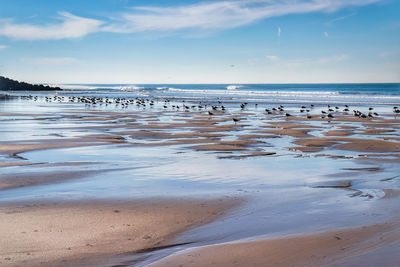 Scenic view of beach against sky