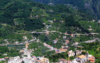 High angle view of buildings on green mountain at ravello