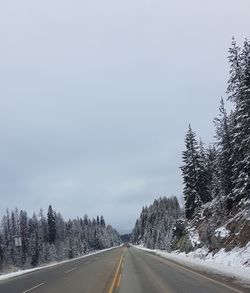 Road by trees against sky during winter