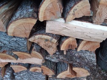 Full frame shot of logs in forest