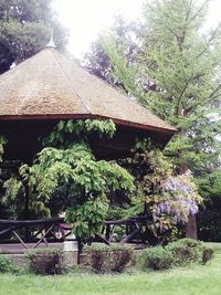 Trees and plants in garden