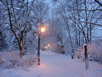 Snow covered landscape