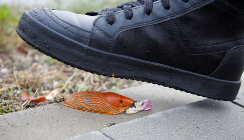 High angle view of red shoes