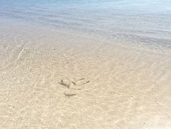 View of sandy beach