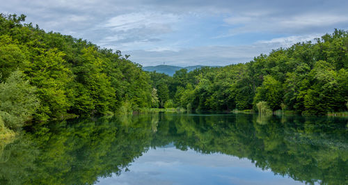 Scenic view of lake by trees against sky