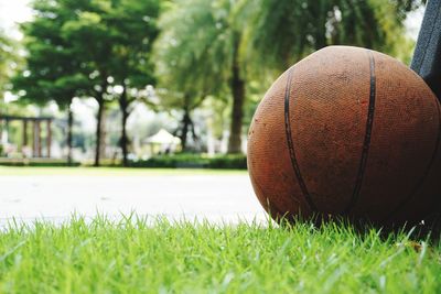 Close-up of ball on field