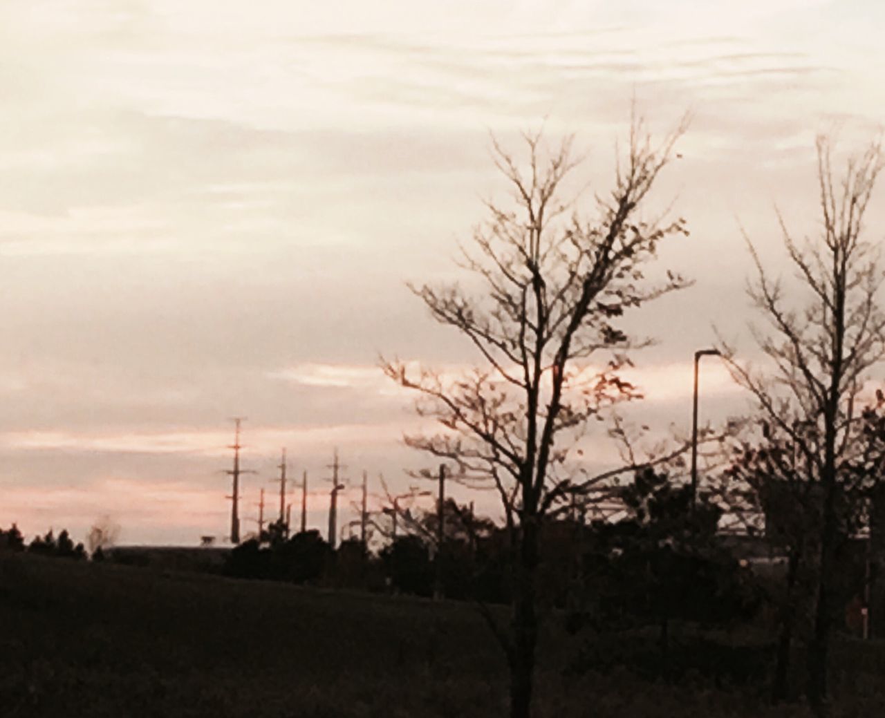 sunset, silhouette, sky, bare tree, tranquility, tranquil scene, tree, cloud - sky, scenics, beauty in nature, landscape, nature, branch, field, cloud, cloudy, dusk, idyllic, outdoors, no people