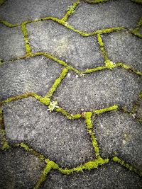 High angle view of road