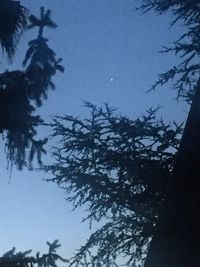 Low angle view of silhouette tree against sky