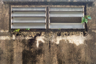 Close-up of window on wall