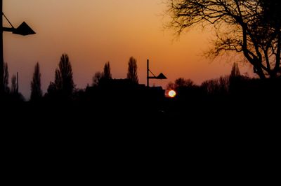Silhouette of trees at sunset