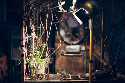Illuminated lighting equipment by potted plant