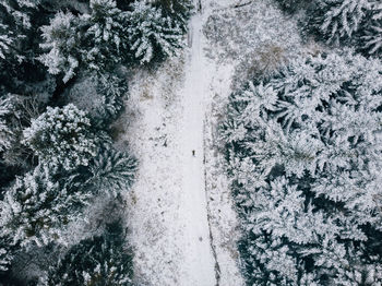 High angle view of snow covered land