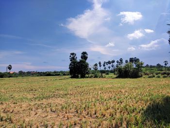 Scenic view of field against sky