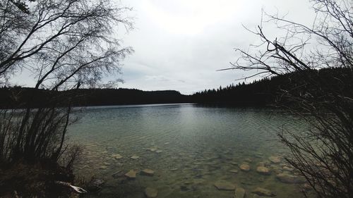 Scenic view of lake in forest against sky