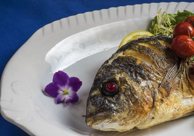 Close-up of grilled dorado with baked cherry tomatoes served on table