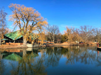 Reflection of trees and buildings in lake