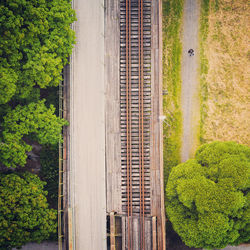 Railway in the nature