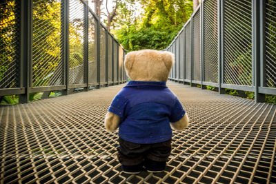 Rear view of boy standing by railing