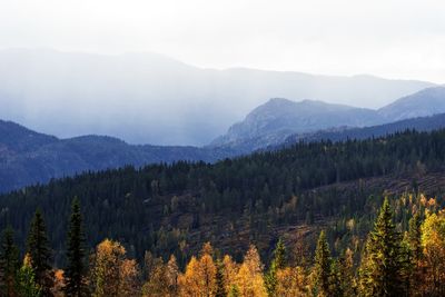 Scenic view of forest and mountains against sky