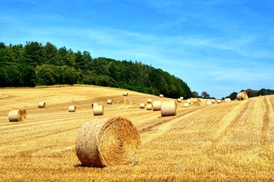 Landscape view of haybales