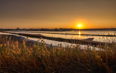 Sunset over the salt shakers