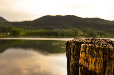 Close-up of wooden post on tree stump against sky