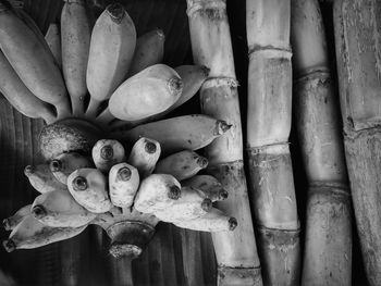 High angle view of fruits