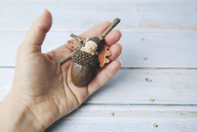 Close-up of hand holding wood