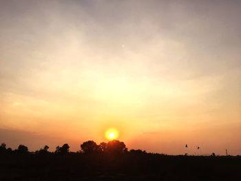 Silhouette trees on field against sky during sunset