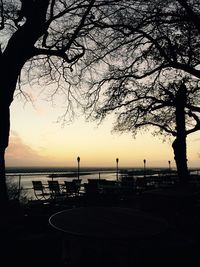 Silhouette of trees at sunset