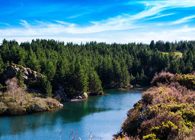 Scenic view of river in forest against sky