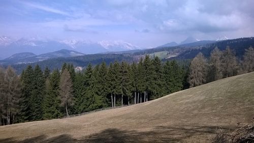 Panoramic shot of trees on landscape against sky