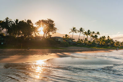 Scenic view of palm trees at beach against sky during sunset