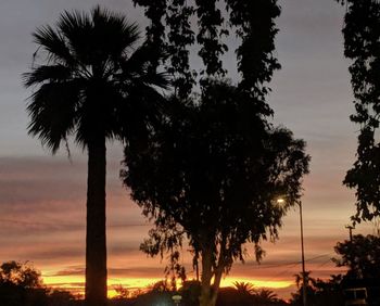 Low angle view of silhouette coconut palm trees against sky during sunset