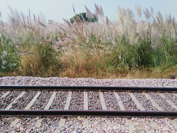 High angle view of railroad tracks