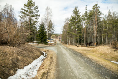 Road amidst trees against sky